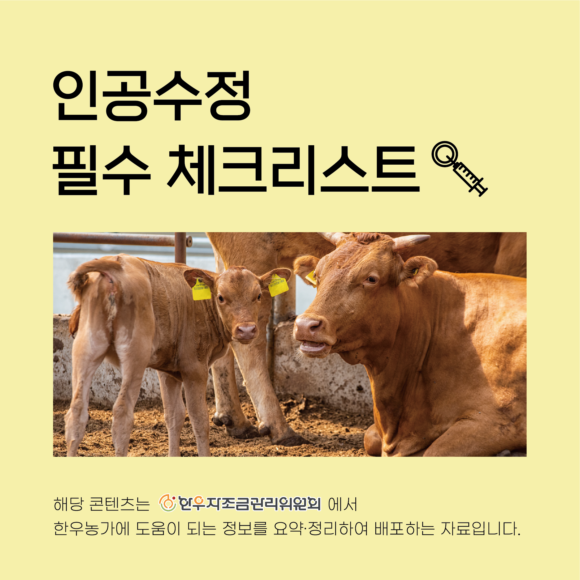 인공수정 필수 체크리스트