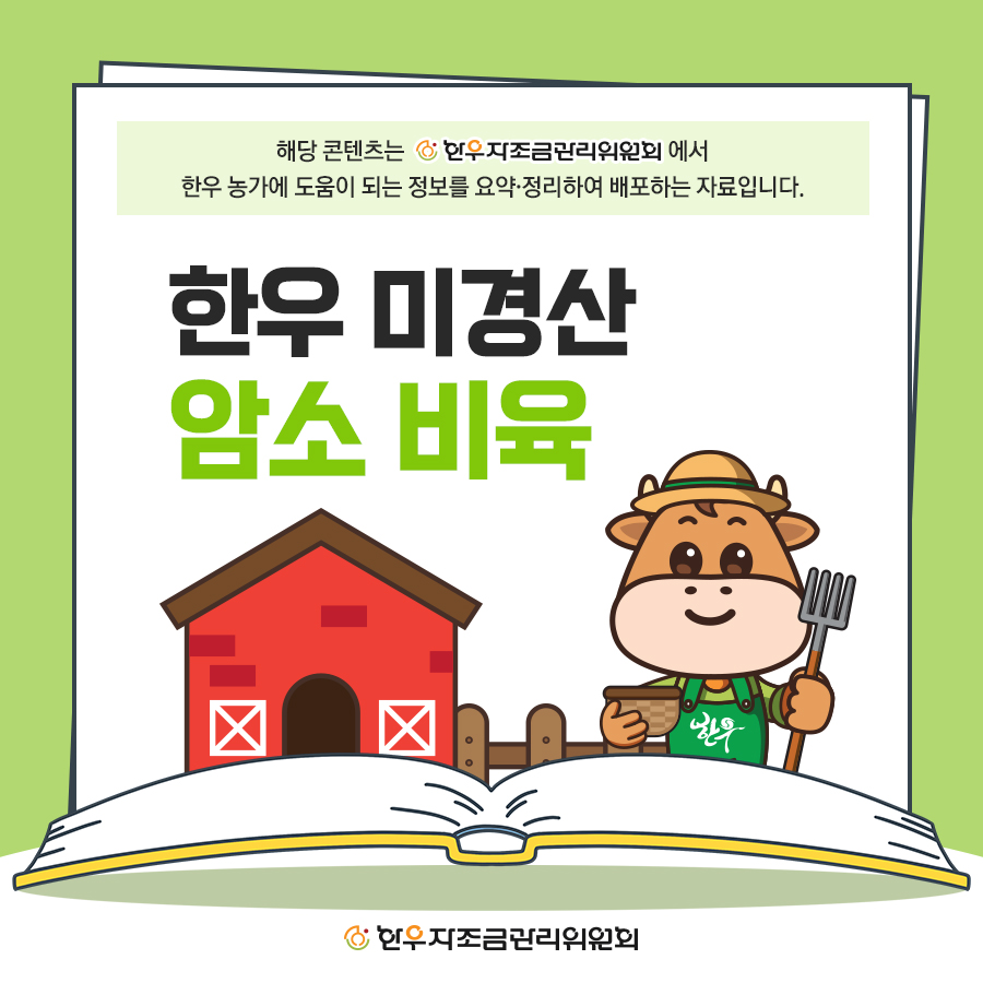 한우 미경산 암소 비육