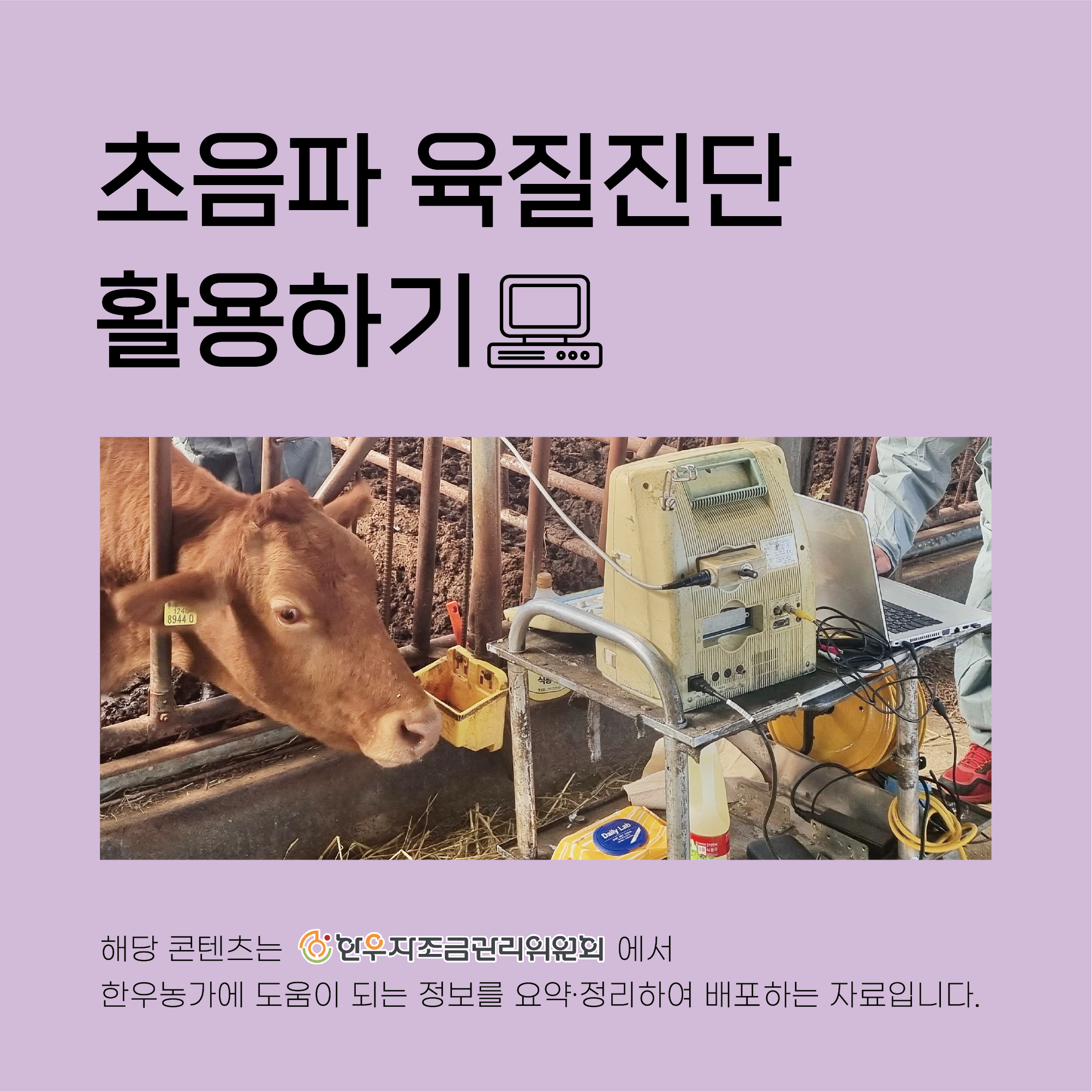 초음파 육질진단 활용하기