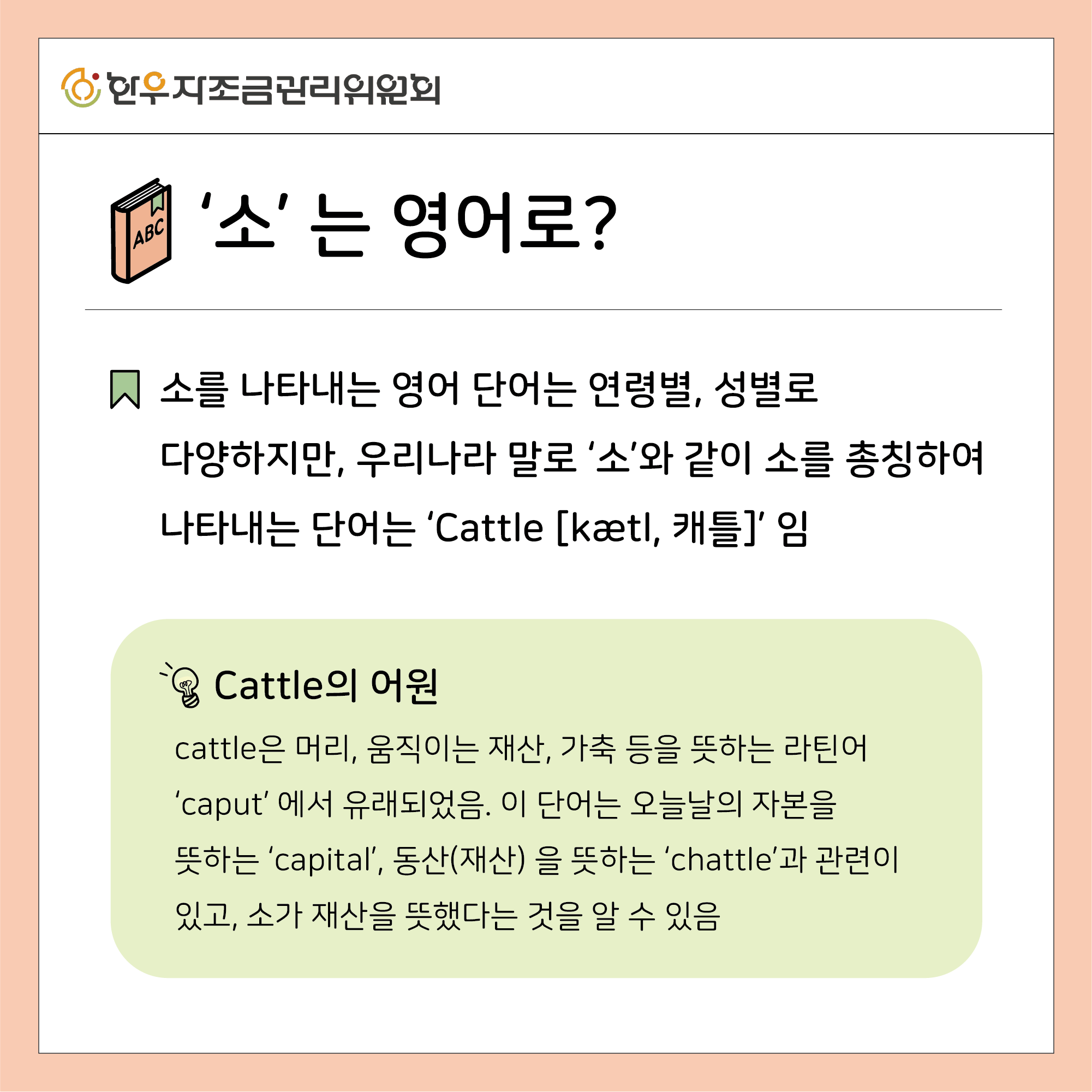 소를 뜻하는 11가지 영어 표현