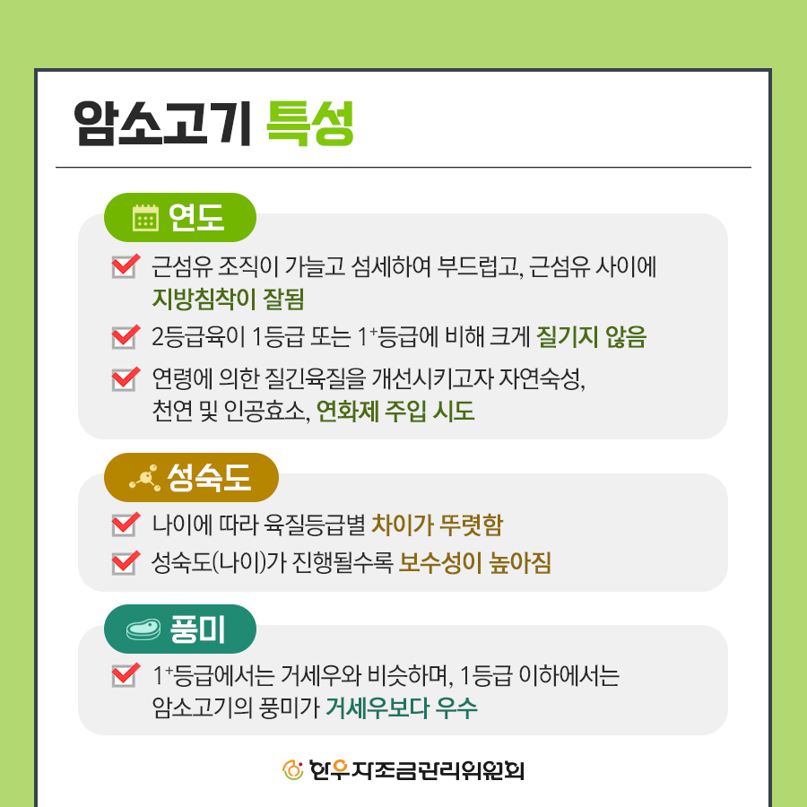 한우 미경산 암소 비육