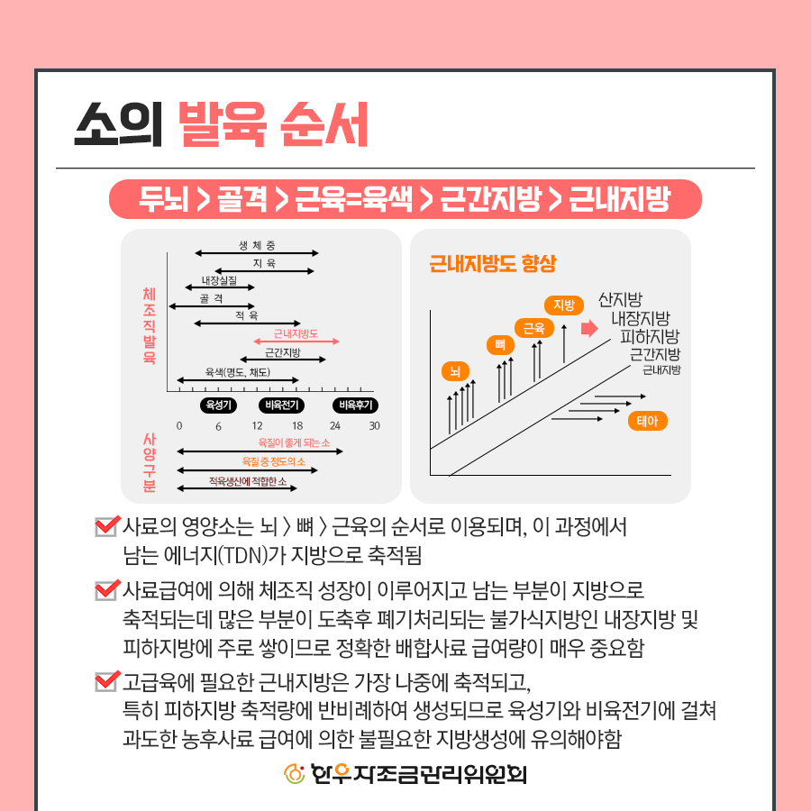 비육우 사양관리 프로그램