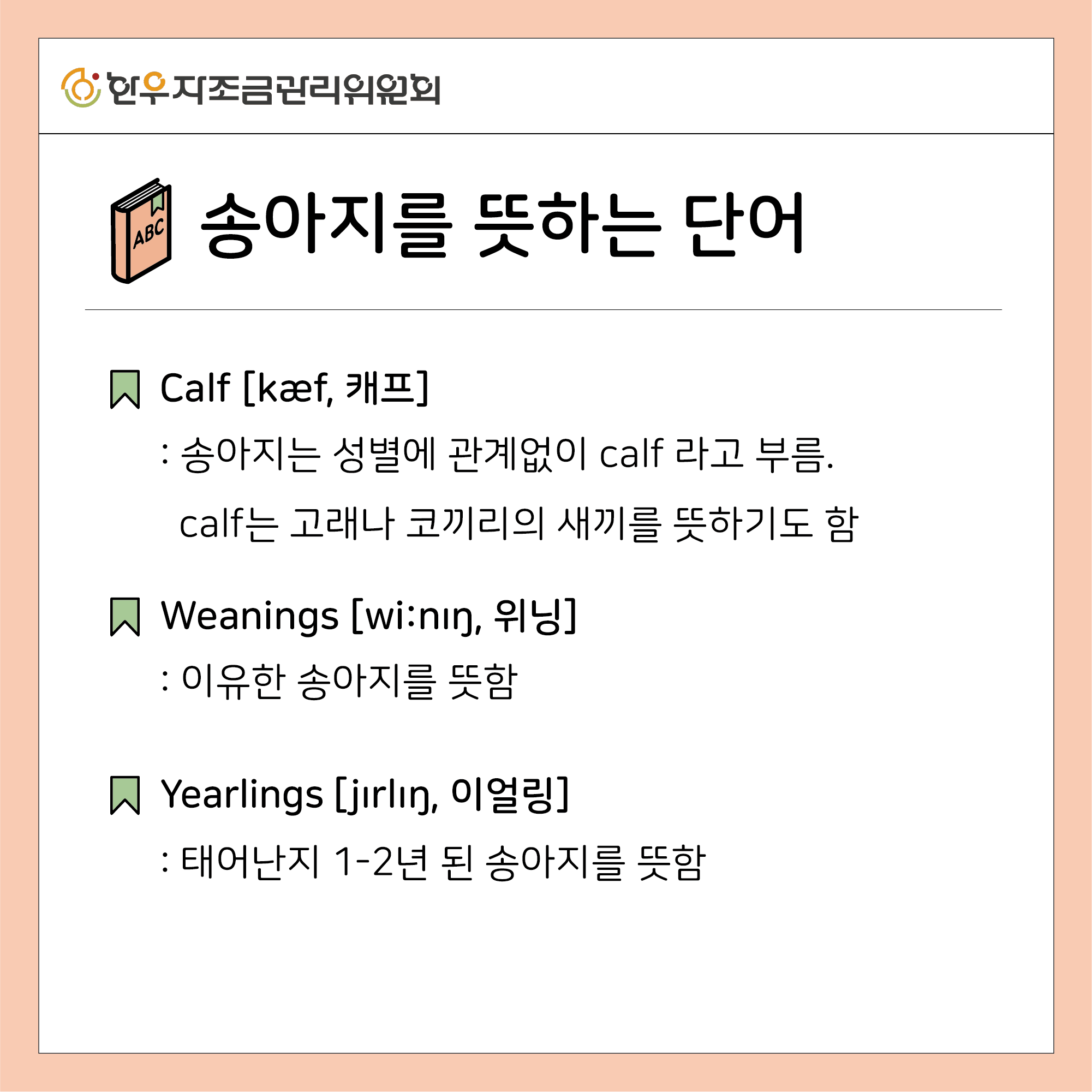 소를 뜻하는 11가지 영어 표현