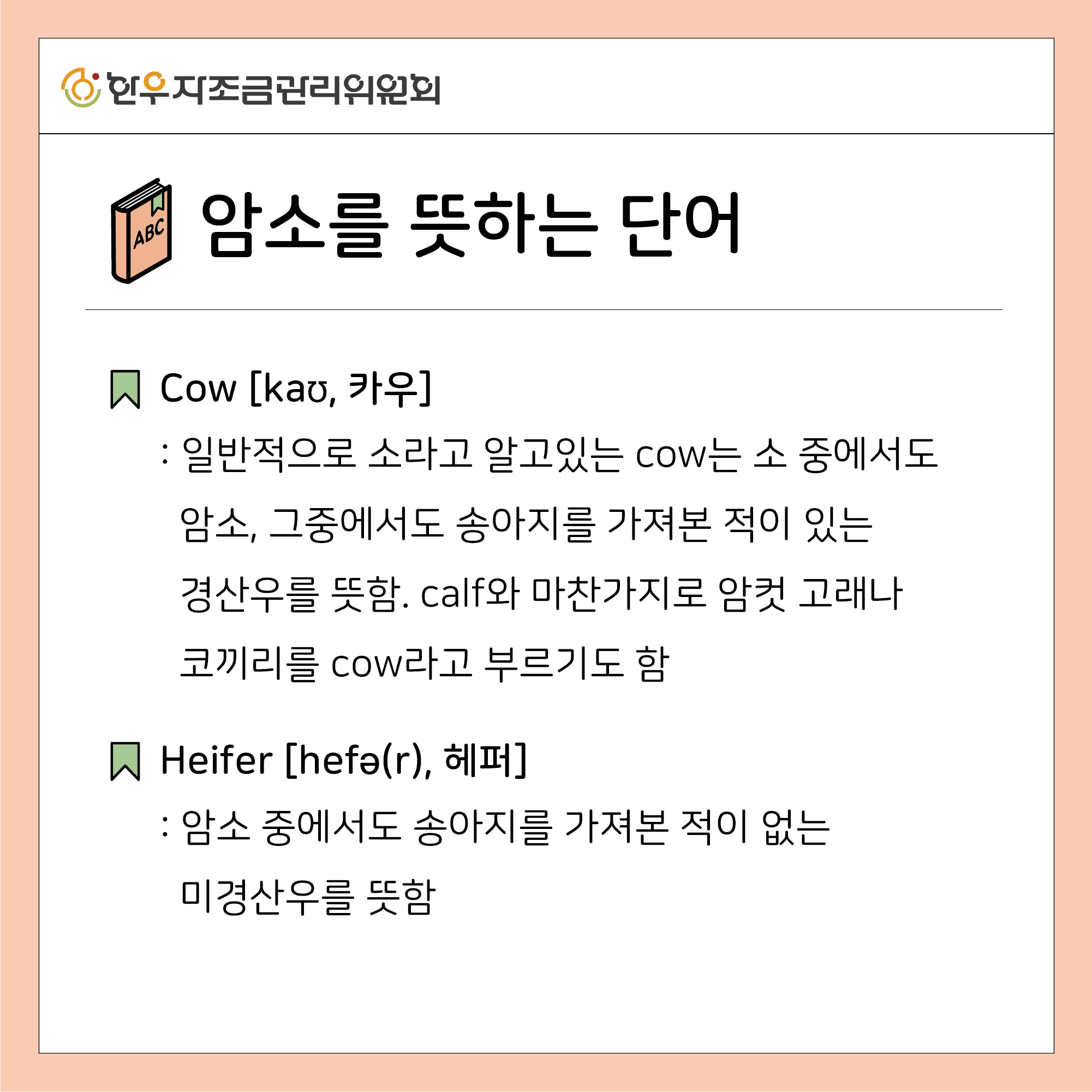 소를 뜻하는 11가지 영어 표현