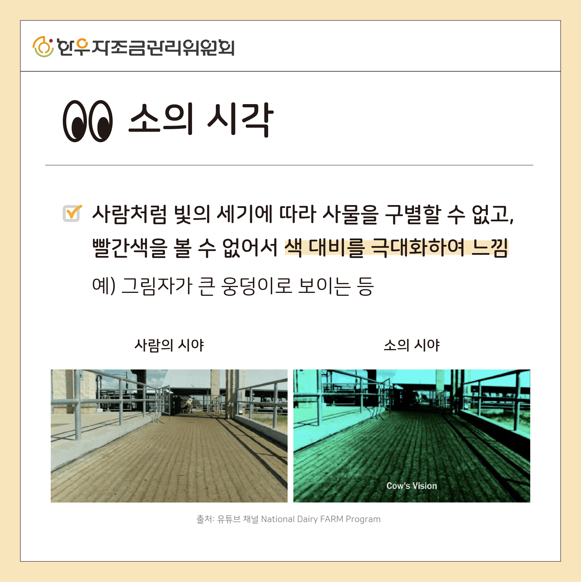 소의 다섯가지 감각