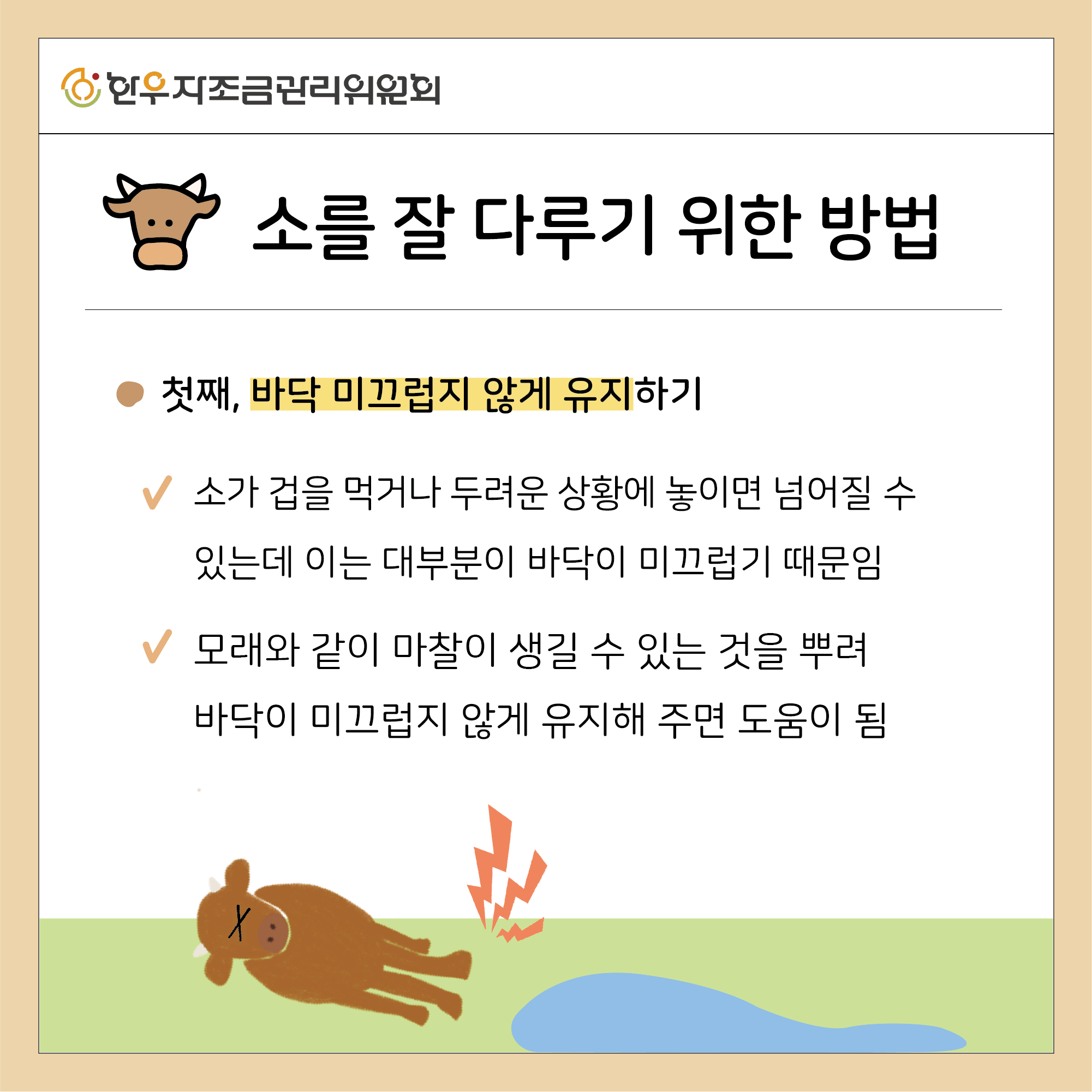 소를 잘 다루는 5가지 방법