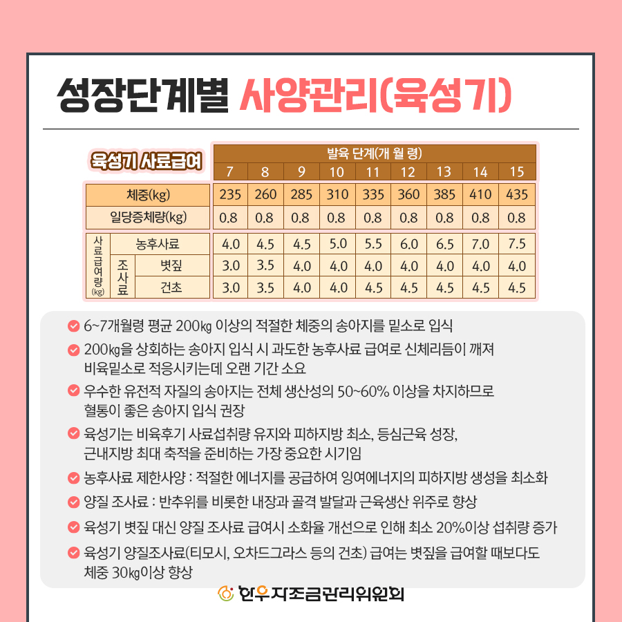 비육우 사양관리 프로그램
