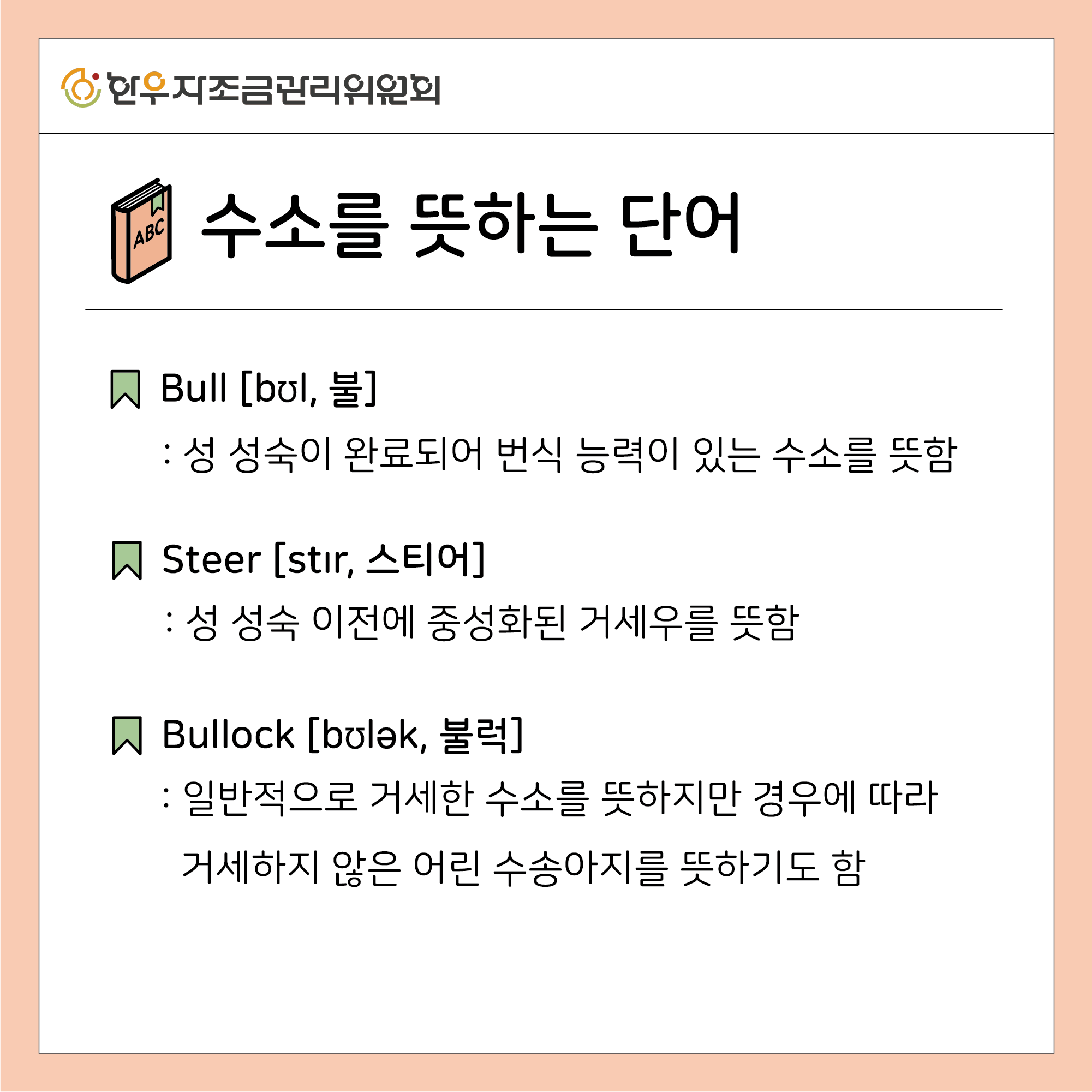 소를 뜻하는 11가지 영어 표현