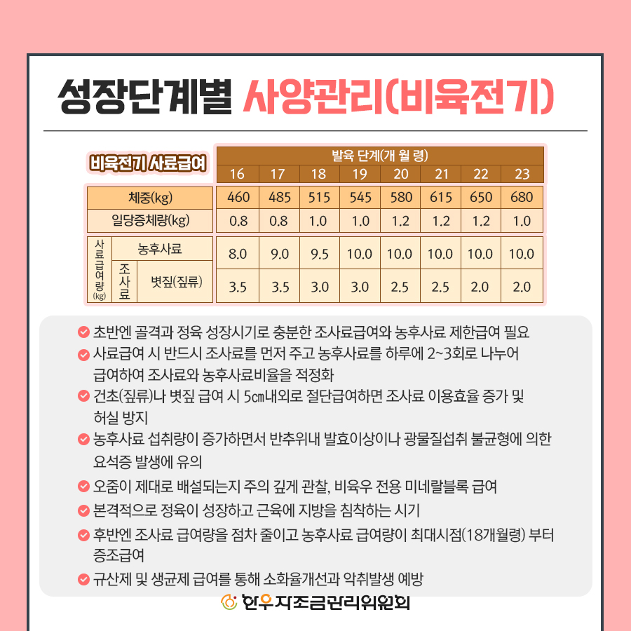 비육우 사양관리 프로그램