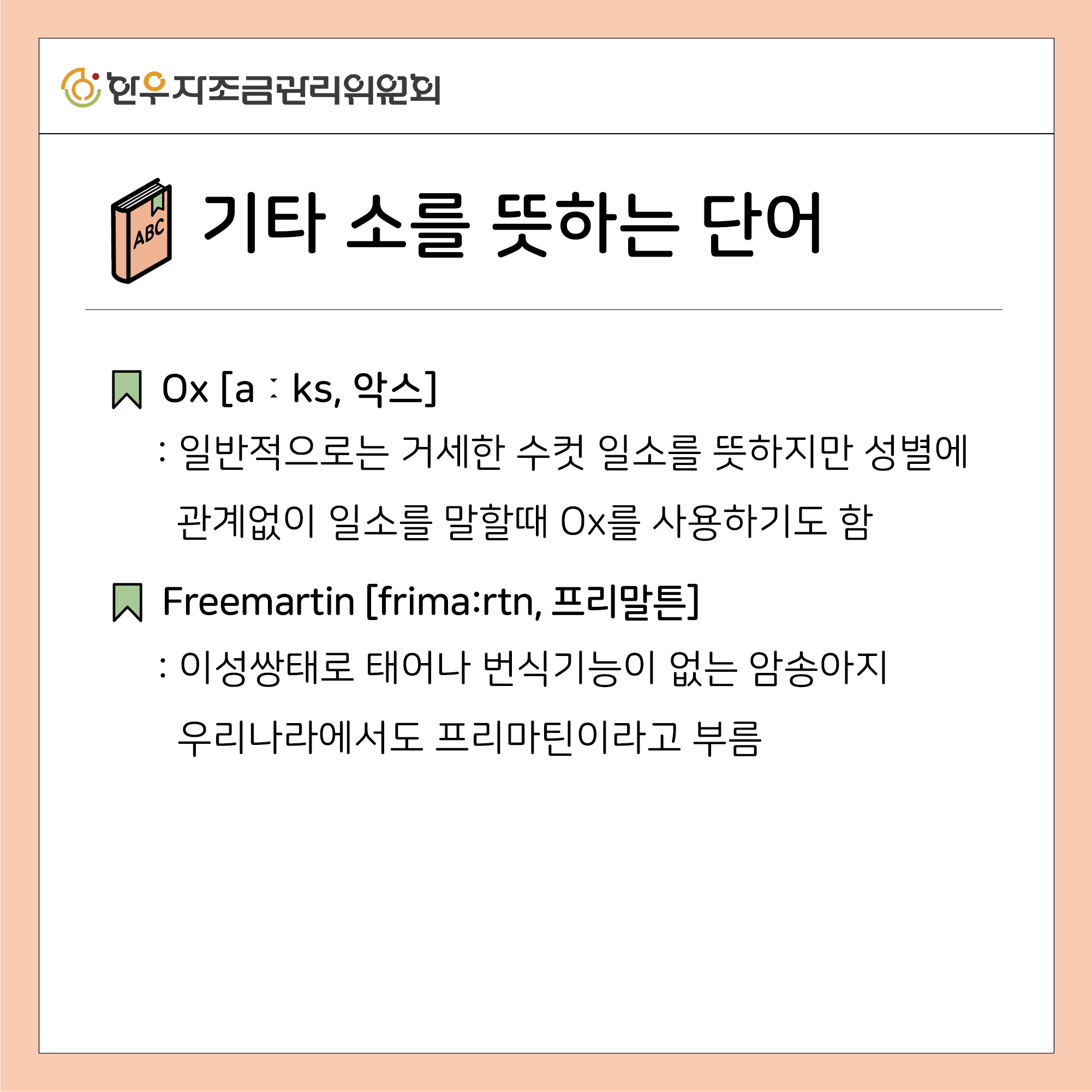 소를 뜻하는 11가지 영어 표현