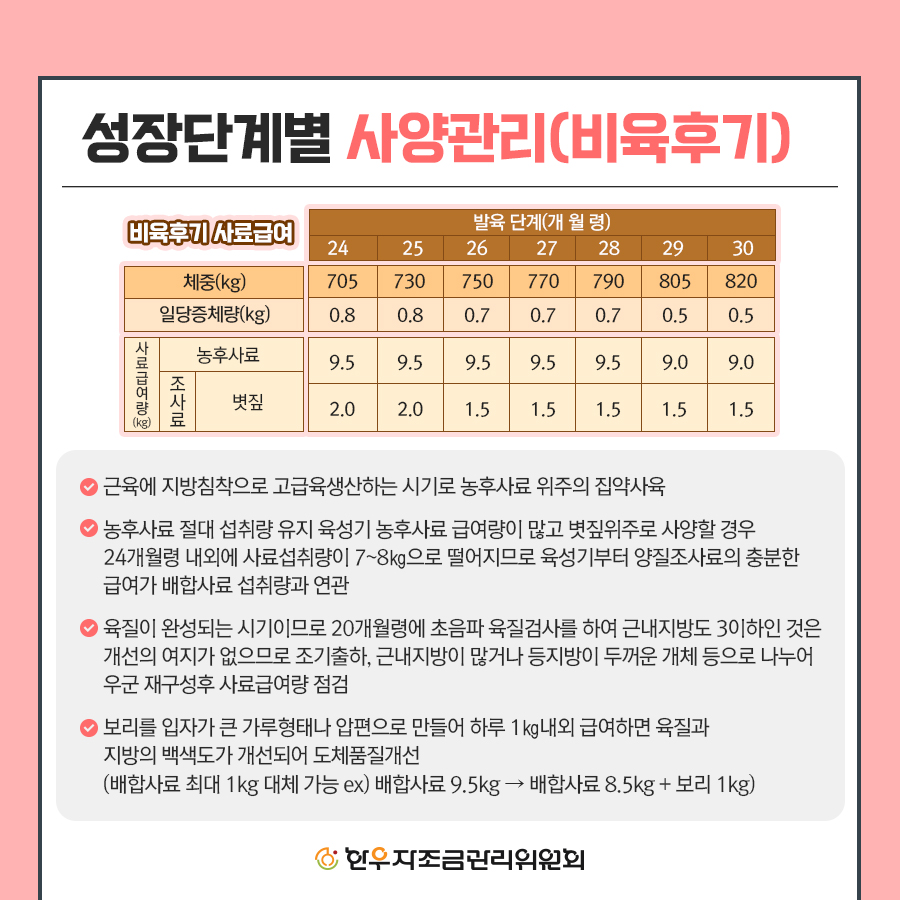 비육우 사양관리 프로그램