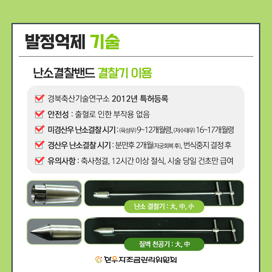 한우 미경산 암소 비육