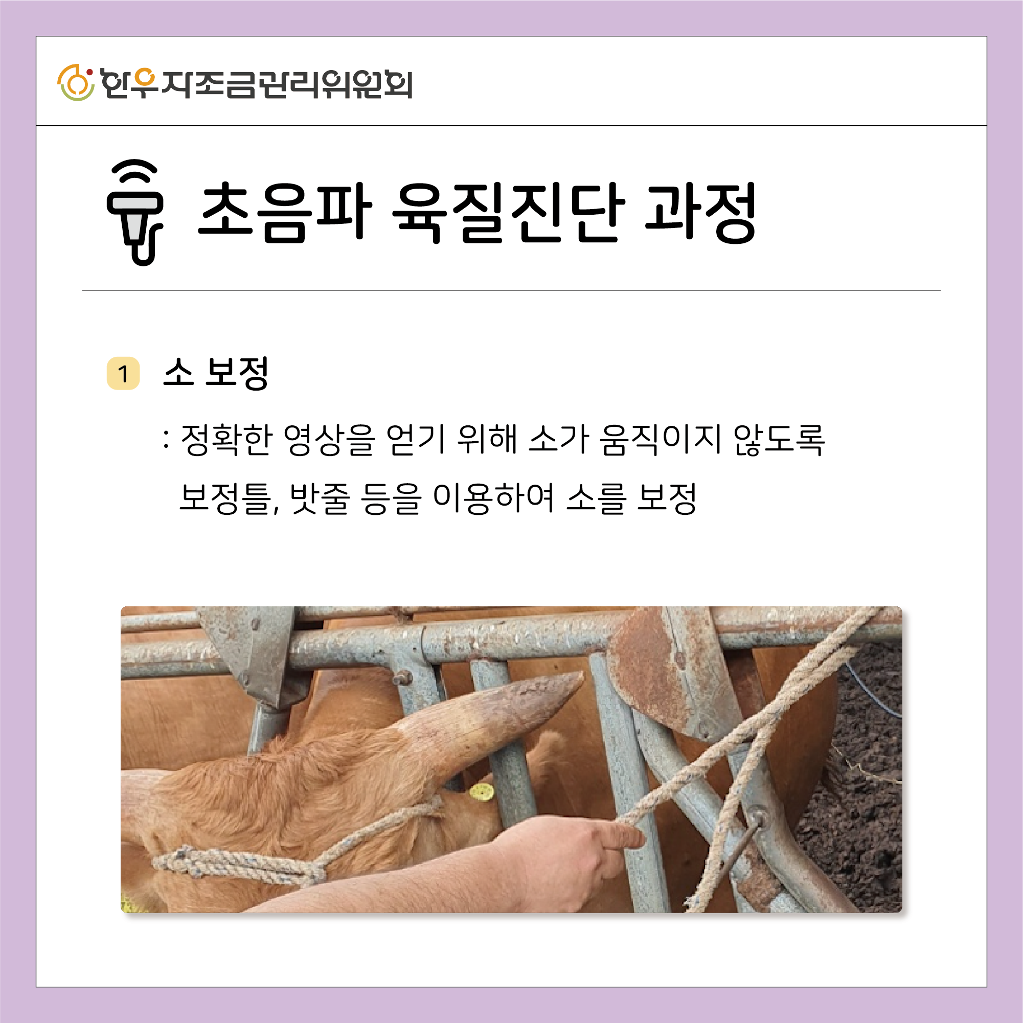 초음파 육질진단 활용하기
