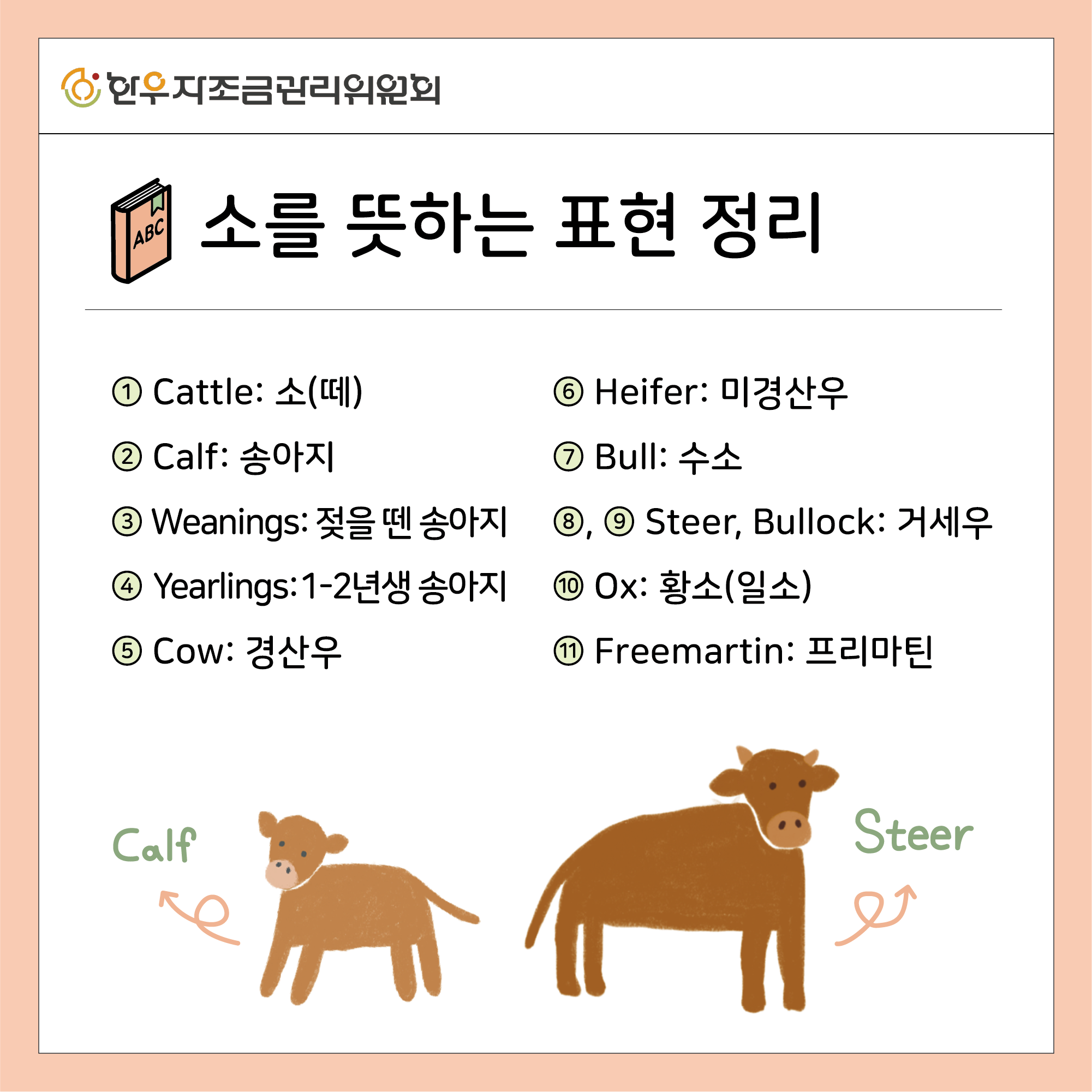 소를 뜻하는 11가지 영어 표현