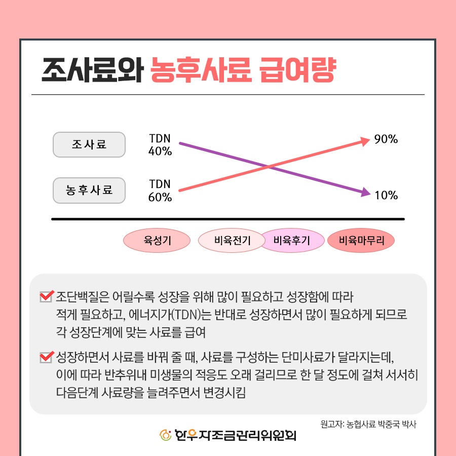 비육우 사양관리 프로그램