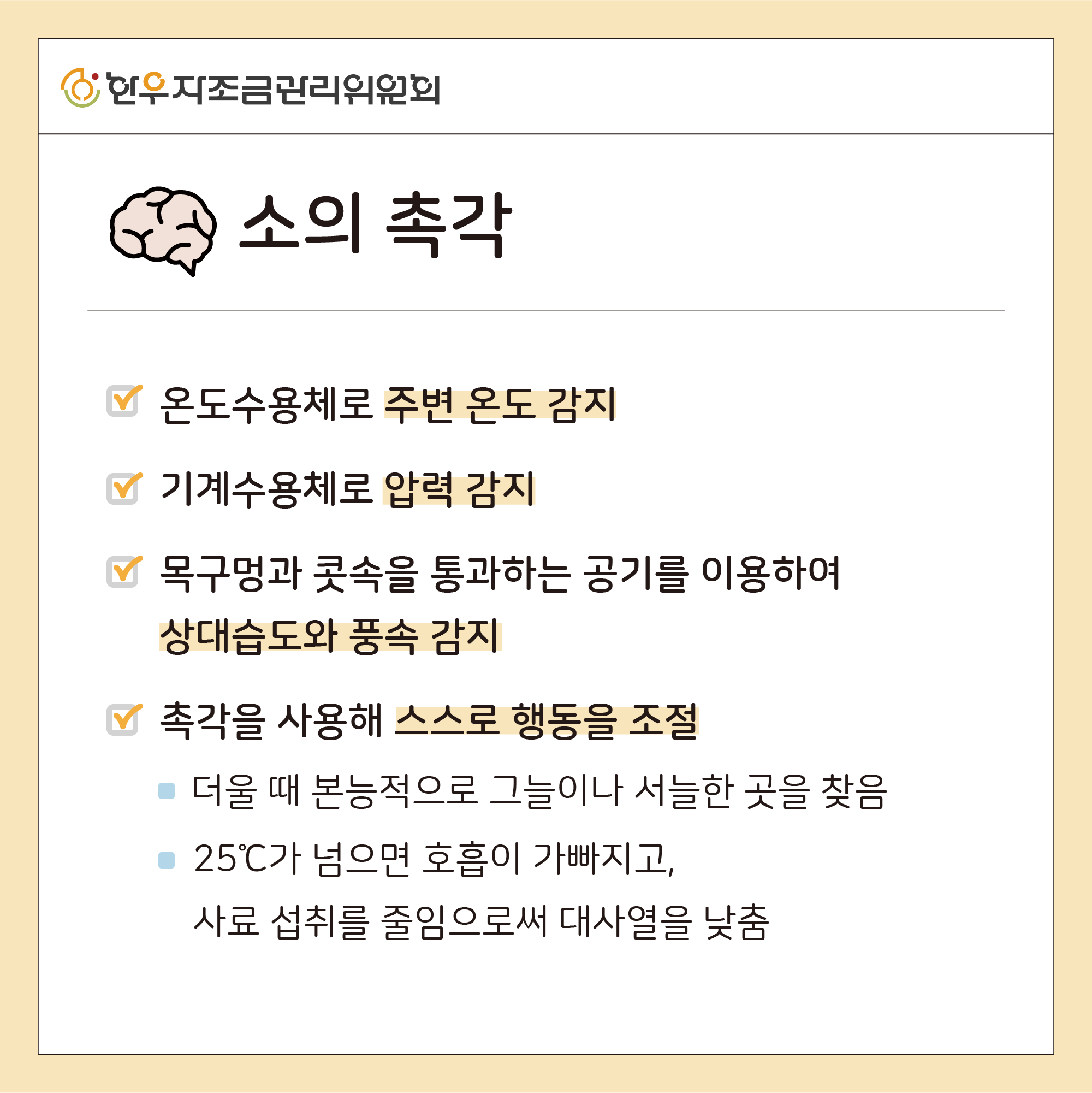 소의 다섯가지 감각