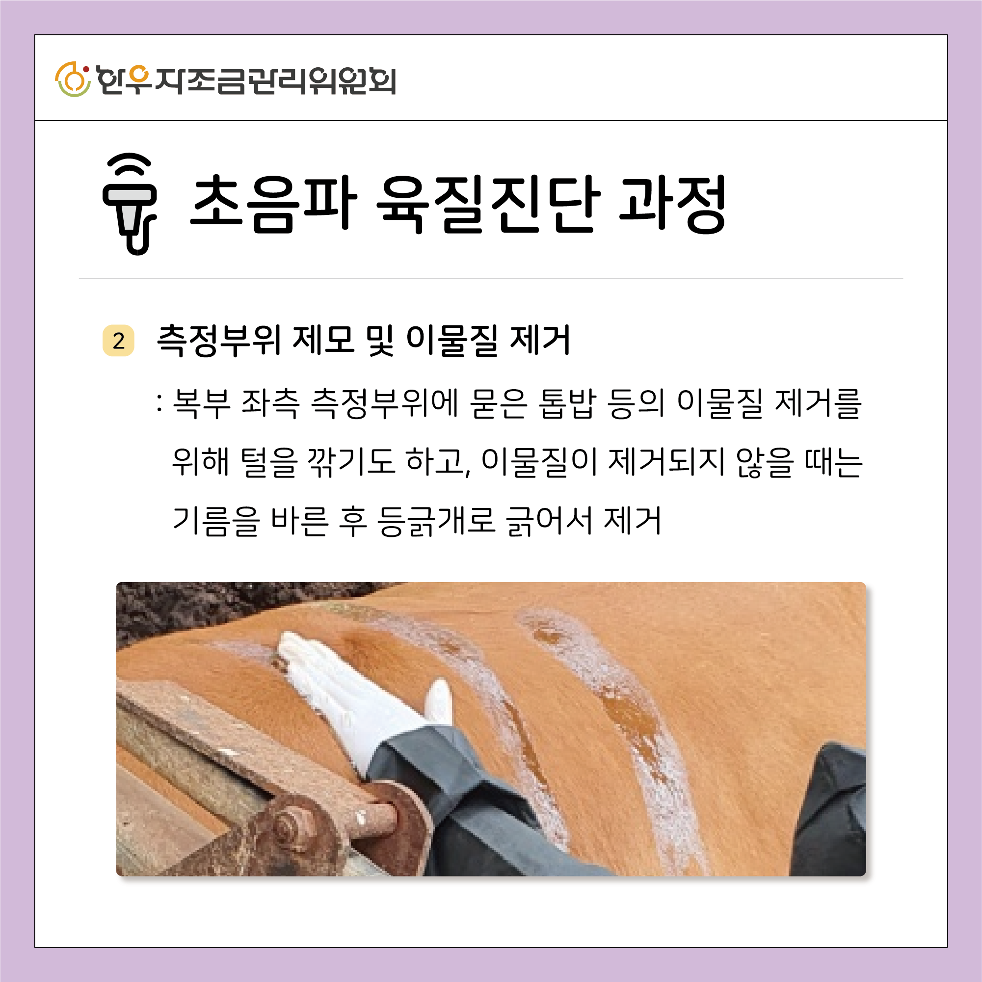 초음파 육질진단 활용하기