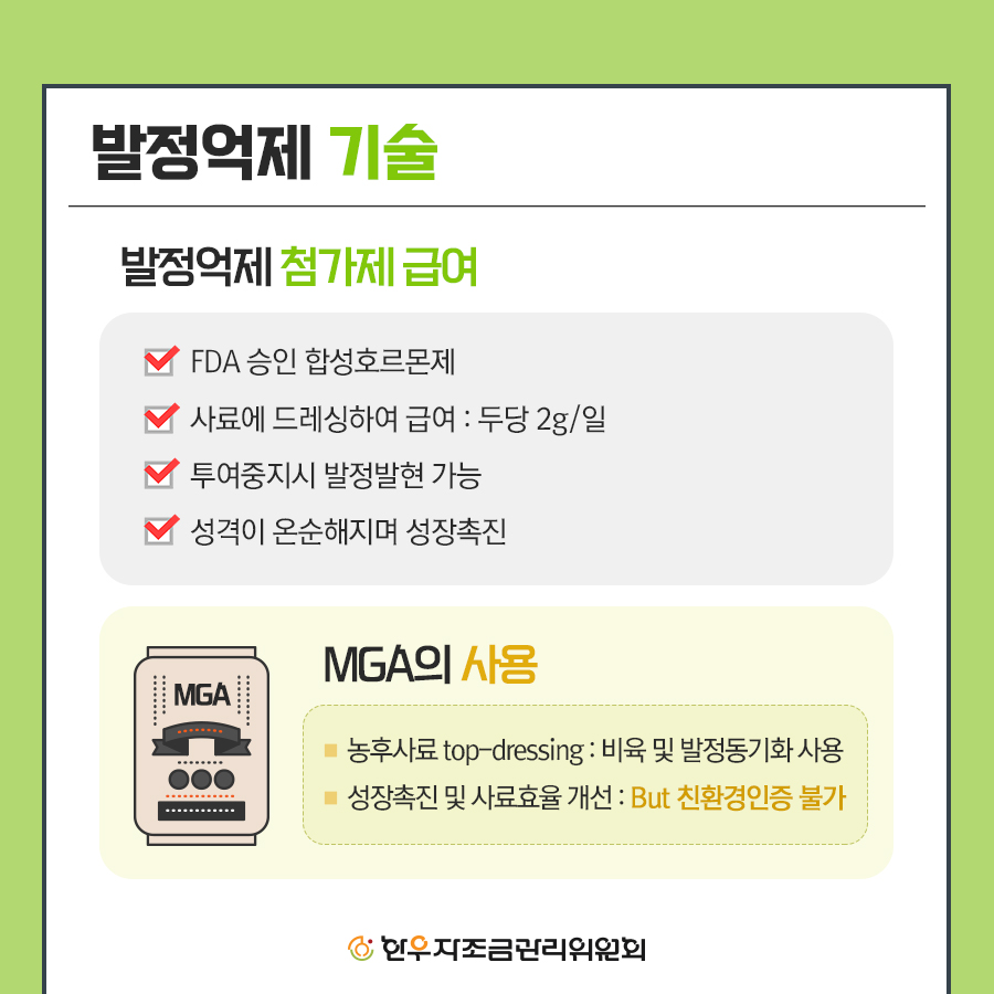 한우 미경산 암소 비육