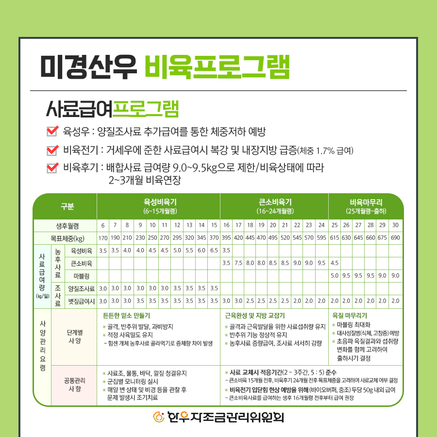 한우 미경산 암소 비육