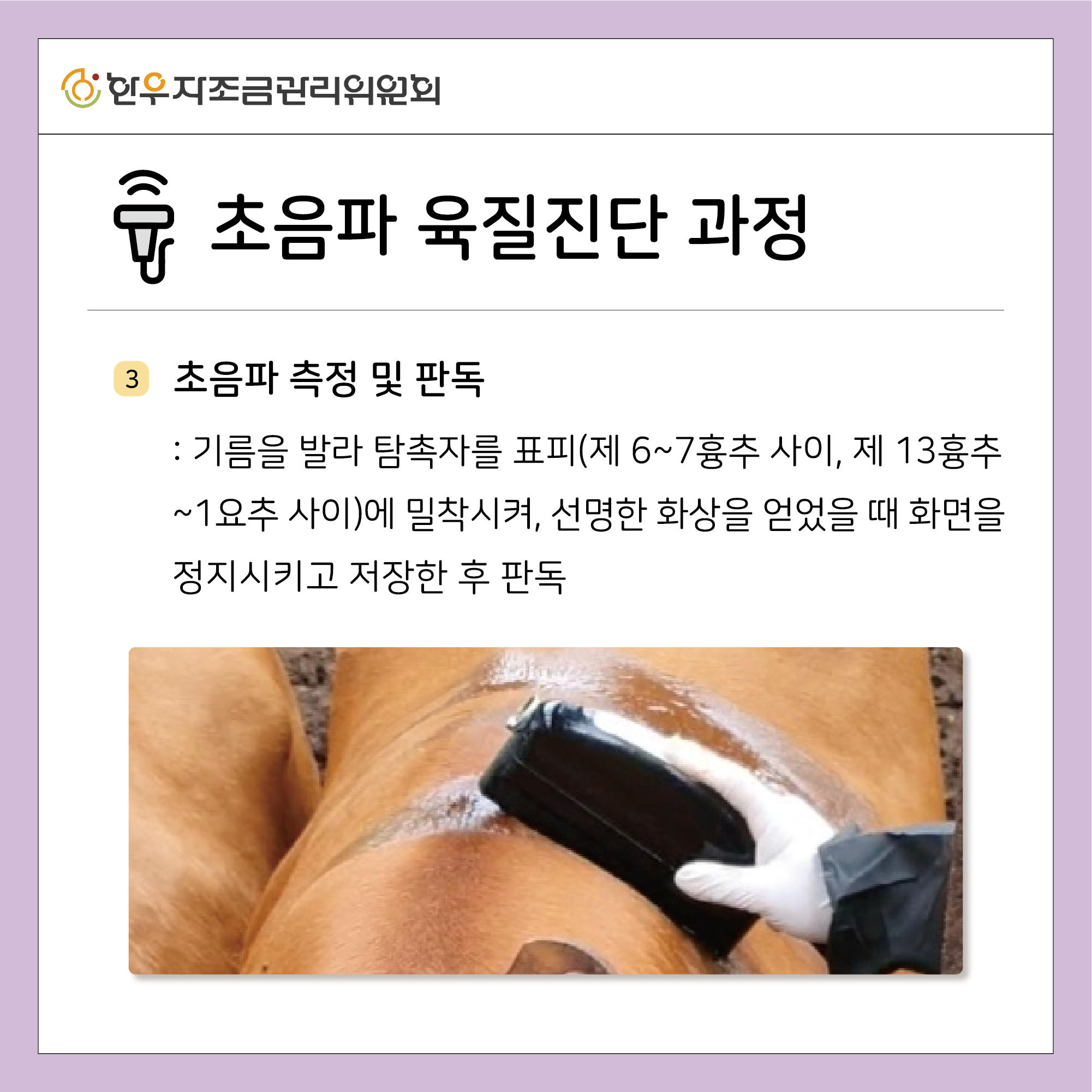 초음파 육질진단 활용하기