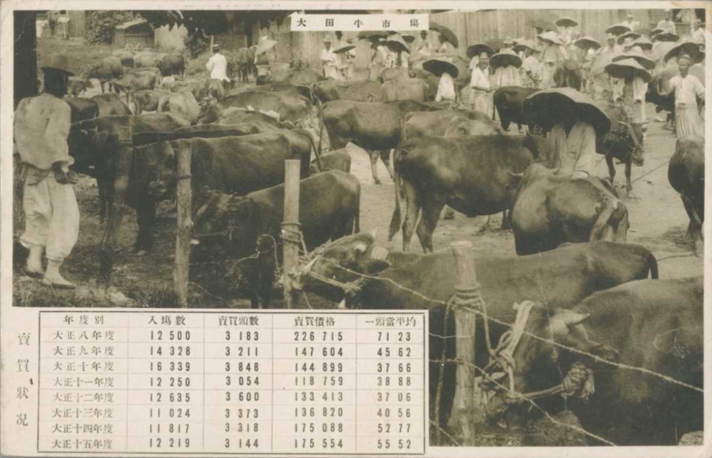 1926 대전 우시장 그림엽서(1933년 소인) 국제일본문화연구센터