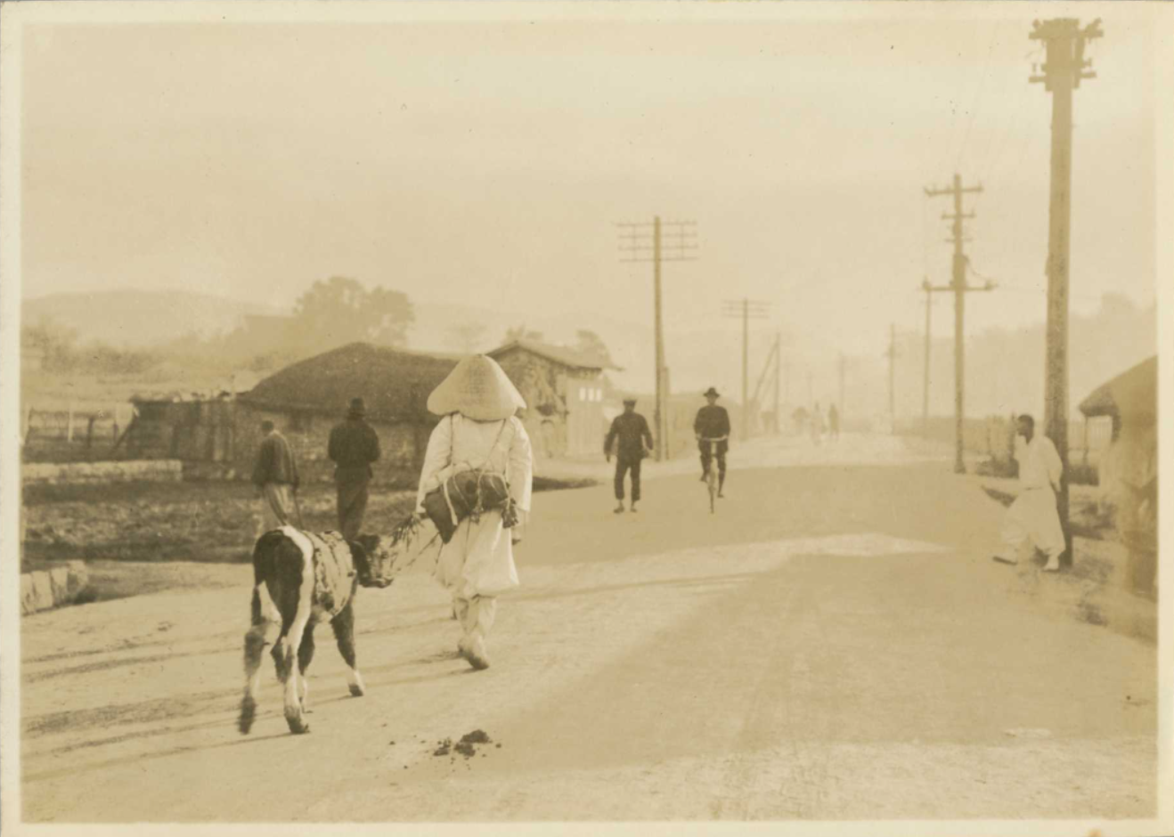 1927 서울 교외 큰길 바둑이 소 원보사진 아세아사진대돤사 국제일본문화연구센터