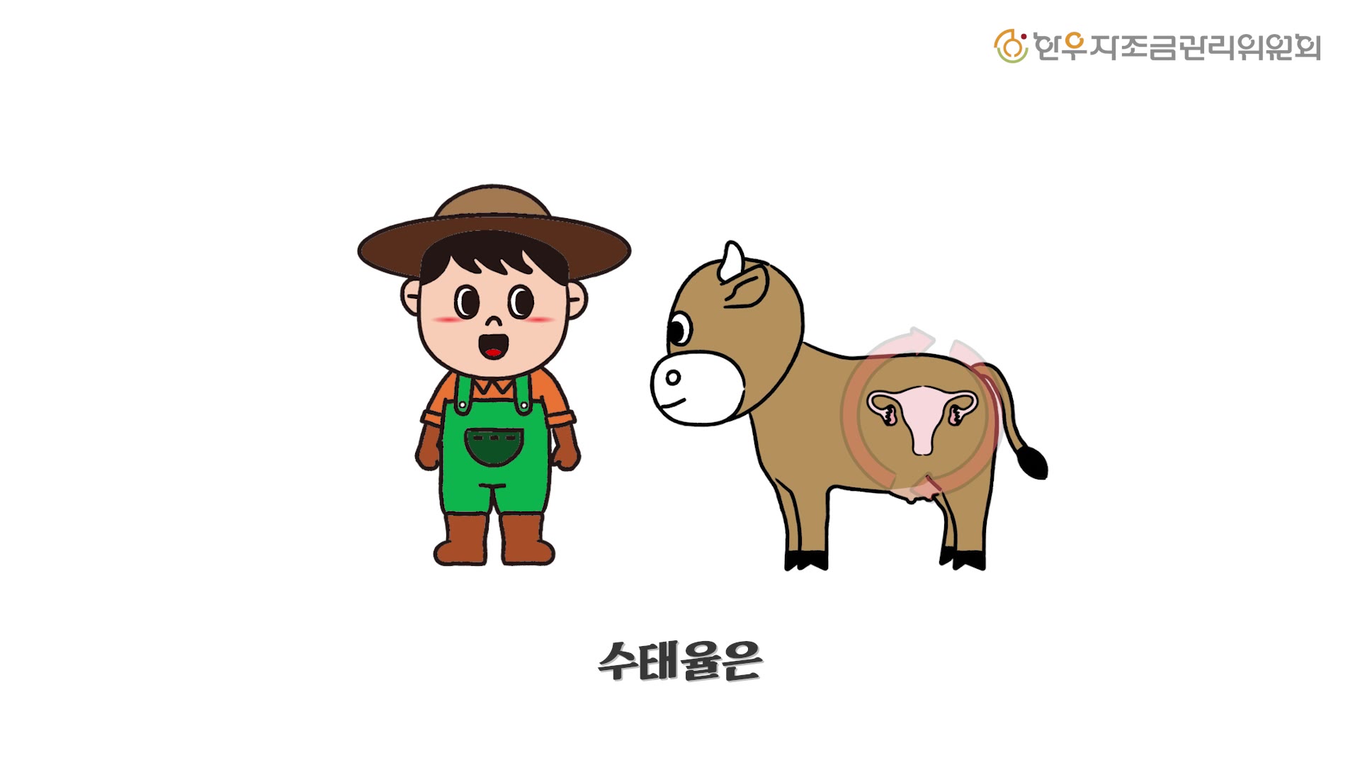 영상: 우등이 #16