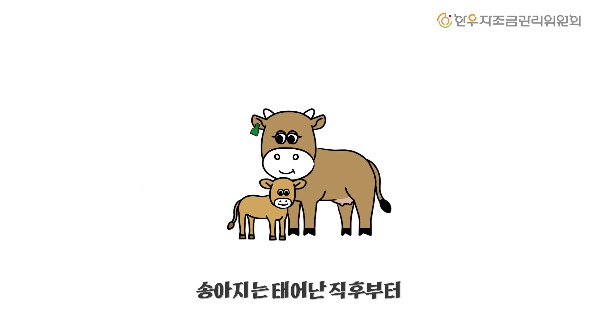 영상: 우등이 #4