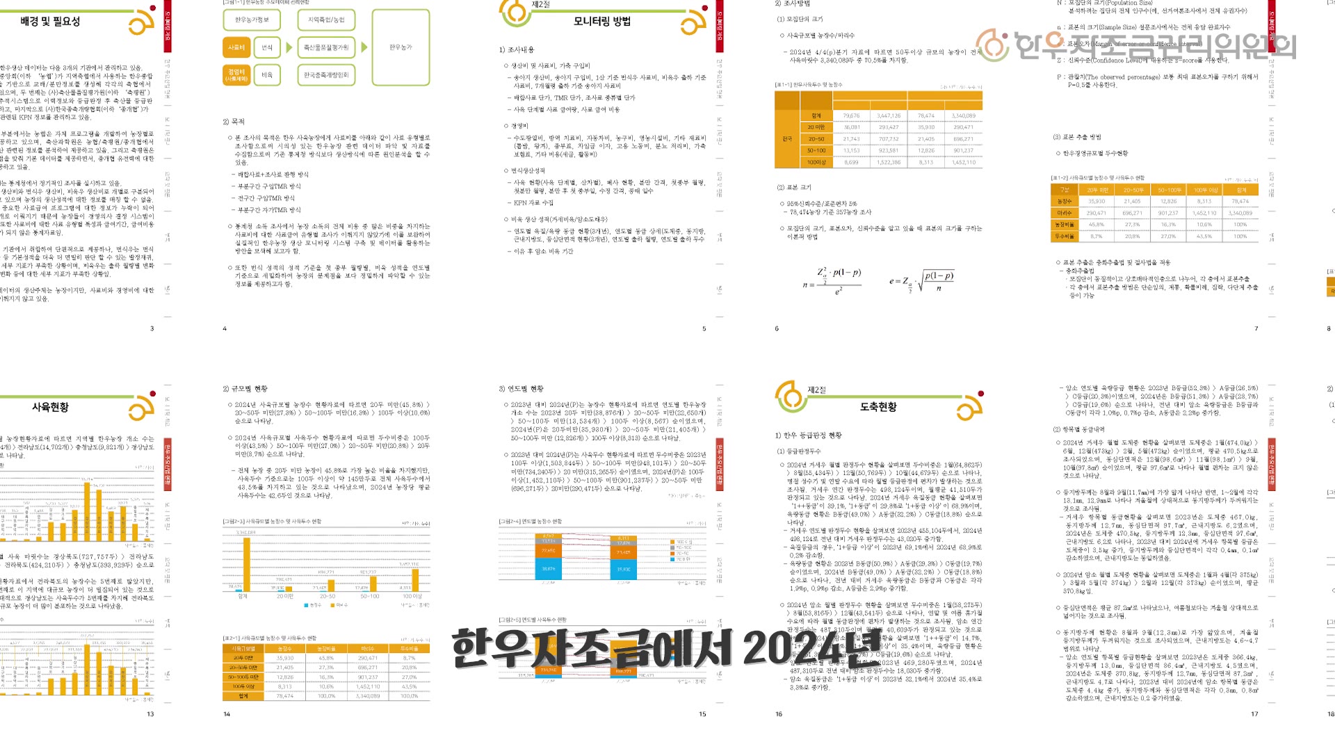 영상: 우등이 #7