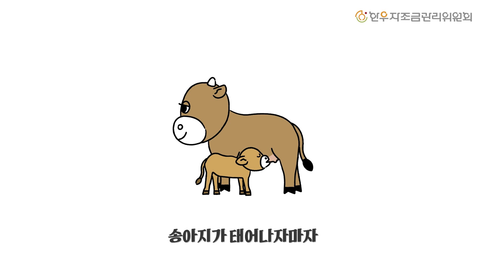 영상: 우등이 #9