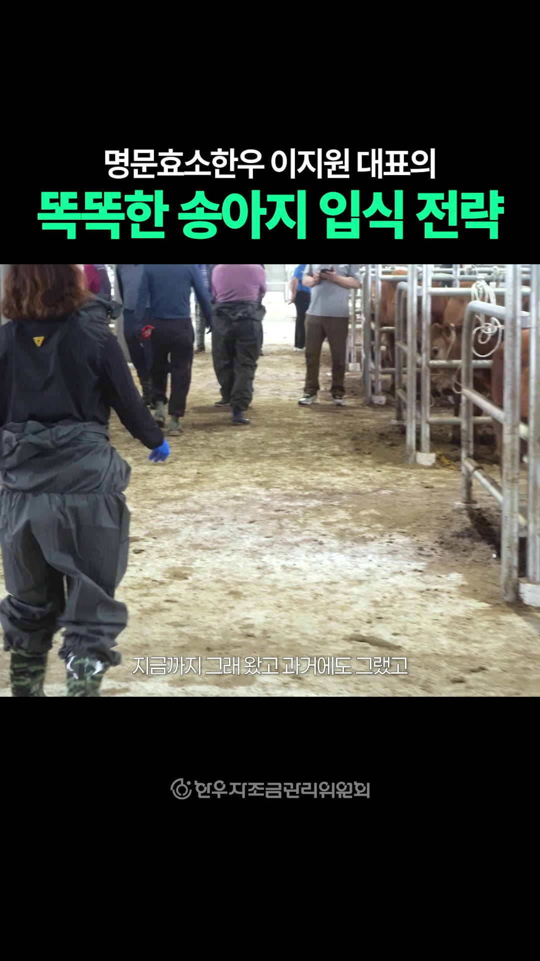 영상: 이지원 쇼츠 #3