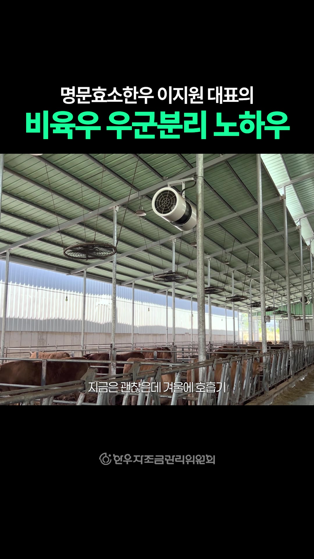 영상: 이지원 쇼츠 #5