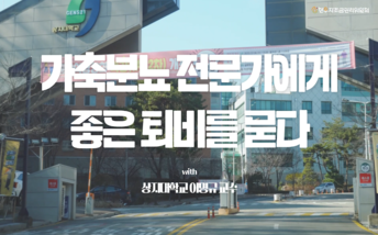 영상: 가축분뇨 전문가에게 좋은 퇴비를 묻다.